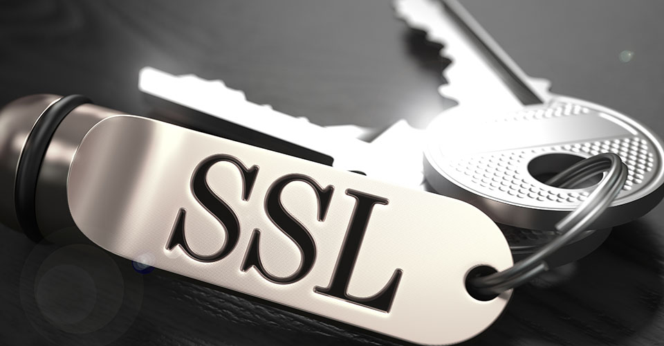 Staying secure in the crowded Internet: SSL