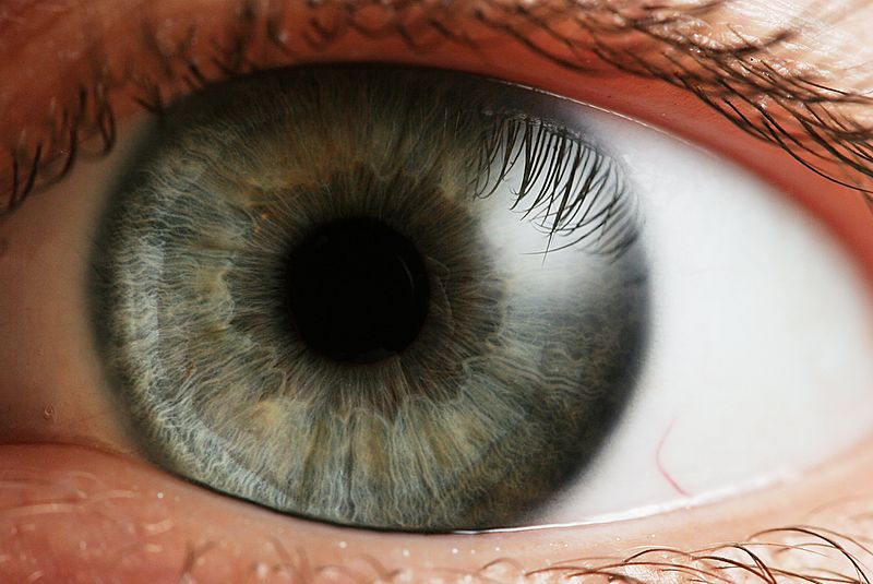 How biometrics work: Within the blink of an eye